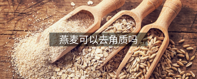 燕麥可以去角質(zhì)嗎