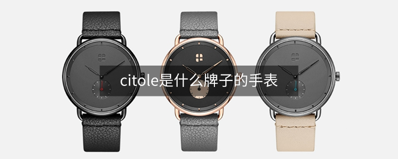 citole是什么牌子的手表 citole是什么牌子的手表