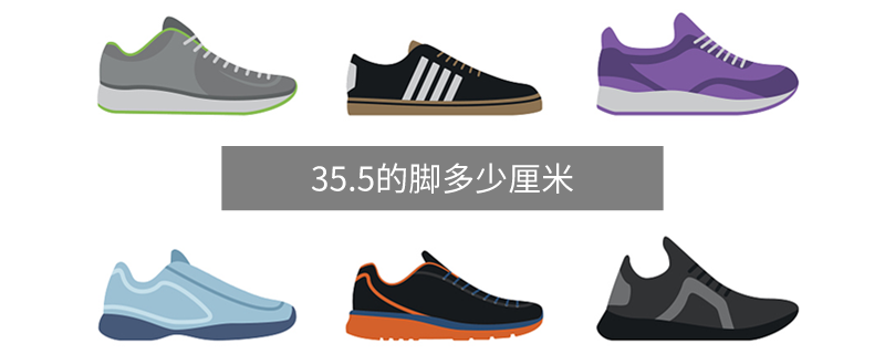 35.5的腳多少厘米