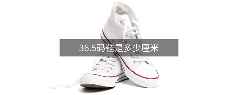 36.5碼鞋是多少厘米