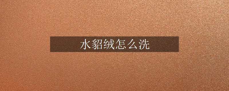 水貂絨怎么洗