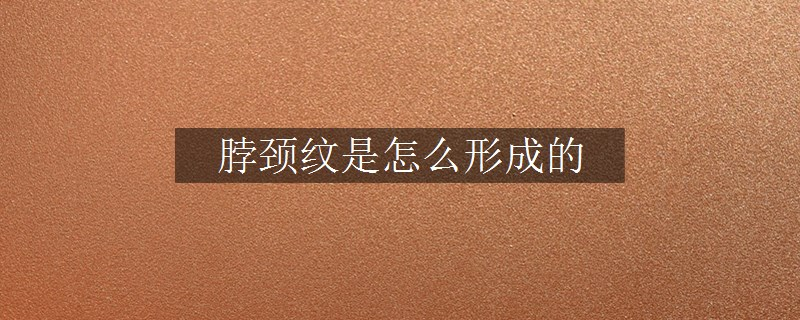 脖頸紋是怎么形成的