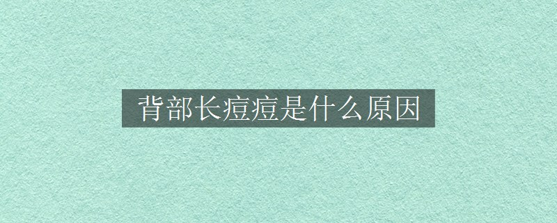 背部長痘痘是什么原因