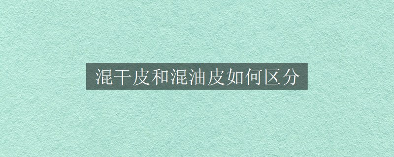 混干皮和混油皮如何區(qū)分