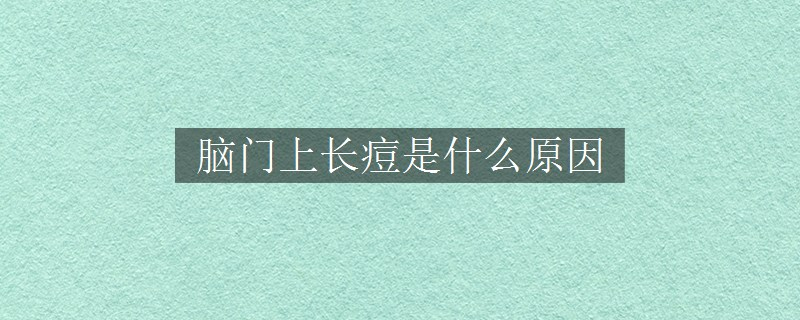 腦門上長痘是什么原因