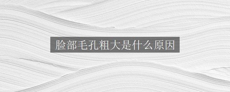 臉部毛孔粗大是什么原因