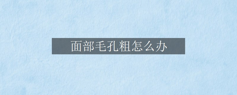 面部毛孔粗怎么辦