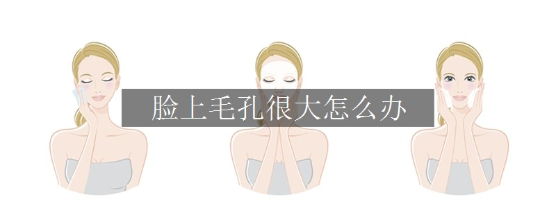 臉上毛孔很大怎么辦