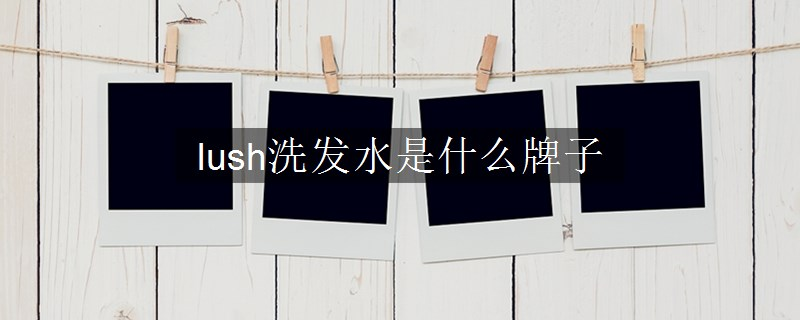 lush洗發(fā)水是什么牌子
