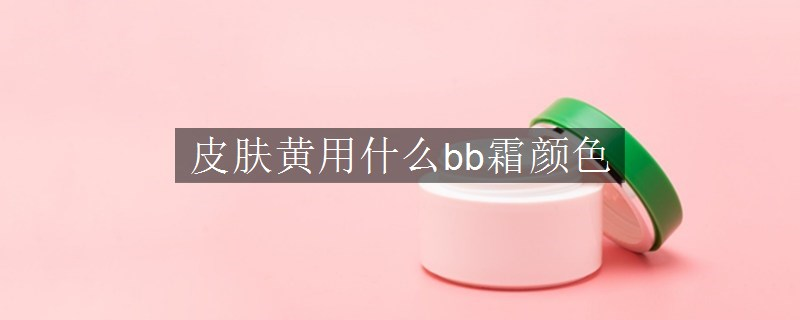 皮膚黃用什么bb霜顏色