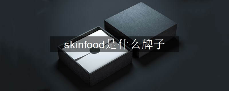 skinfood是什么牌子