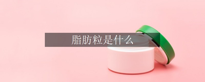 脂肪粒是什么