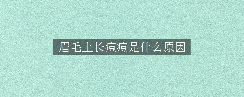 眉毛上長痘痘是什么原因