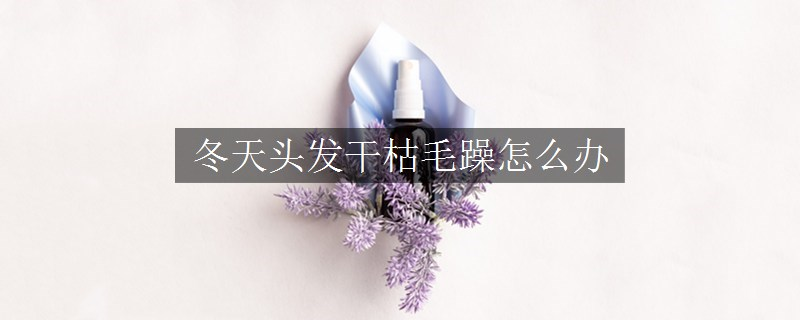 冬天頭發(fā)干枯毛躁怎么辦