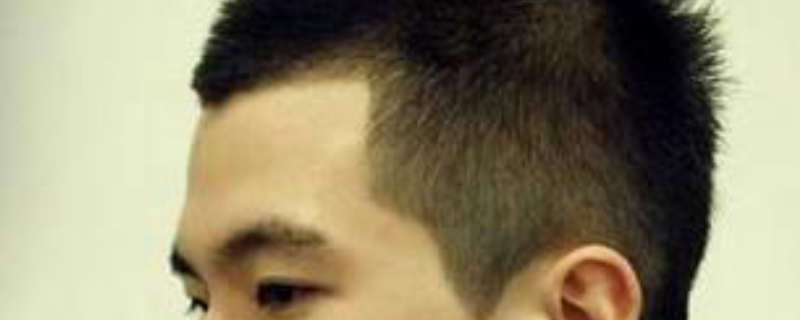 頭上的莫西干是什么東西 頭上的莫西干是什么東西