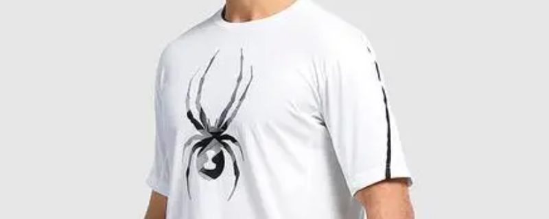 蜘蛛牌子衣服叫什么名字 蜘蛛牌子衣服叫什么名字