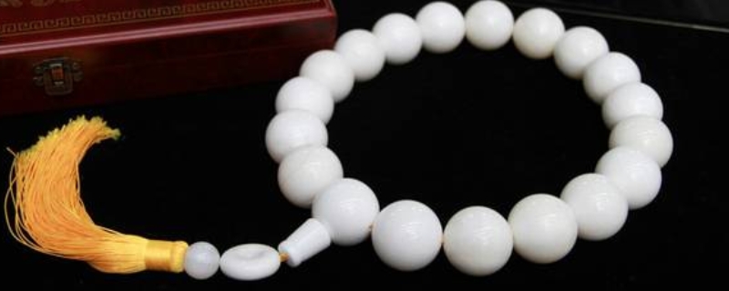 硨磲怎么保養(yǎng) 硨磲怎么保養(yǎng)
