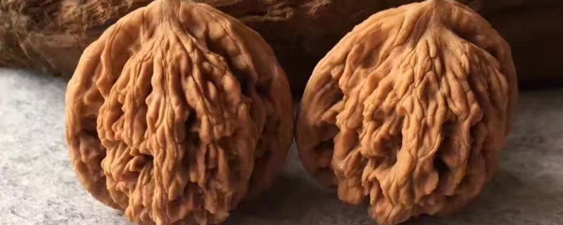 麥穗虎頭最終走什么顏色 麥穗虎頭最終走什么顏色