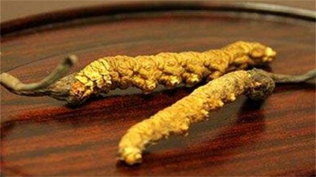 一根蟲草多少錢 一根蟲草多少錢