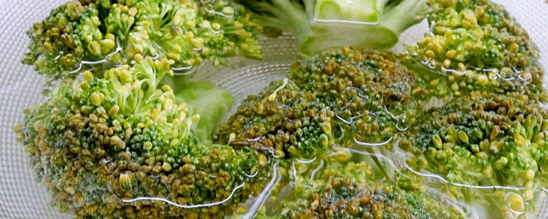 西蘭花開花變黃了之后還可以吃嗎 西蘭花開花變黃了之后還可以吃嗎
