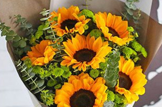 六枝花的花語 六枝花的花語
