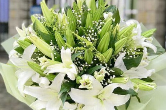六枝花的花語 六枝花的花語