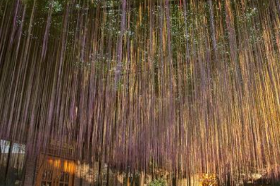 錦屏藤繁殖方法有哪些 錦屏藤繁殖方法有哪些