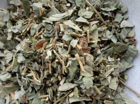 金錢草的功效與作用:長(zhǎng)期服用傷脾胃 金錢草的功效與作用:長(zhǎng)期服用傷脾胃