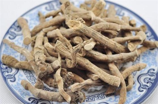 艾草作用是什么，驅(qū)蚊/綠化/抗菌/驅(qū)寒