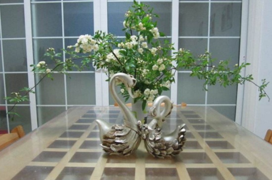 木香花的養(yǎng)殖方法和注意事項(xiàng) 木香花的養(yǎng)殖方法和注意事項(xiàng)
