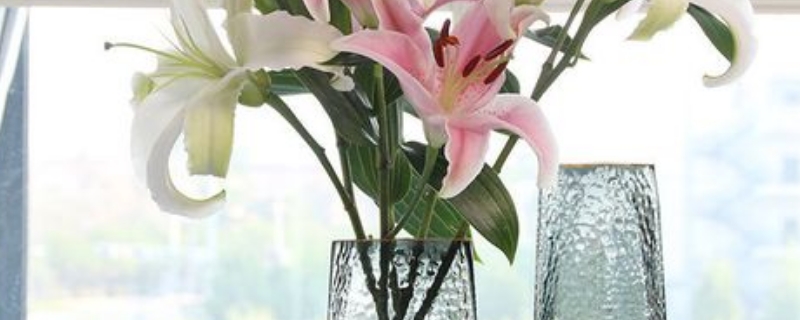 水養(yǎng)百合花的養(yǎng)法 水養(yǎng)百合花的養(yǎng)法