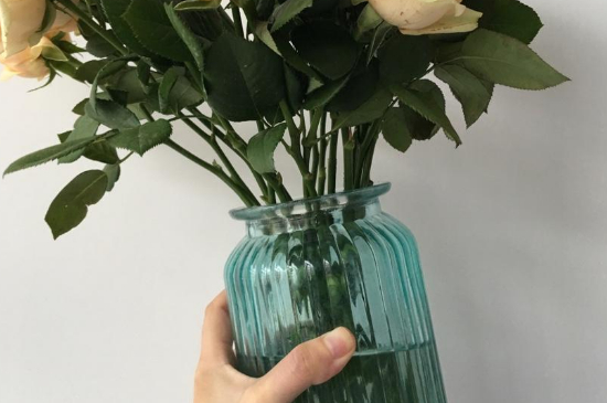 鮮花插水里爛根怎么辦 鮮花插水里爛根怎么辦