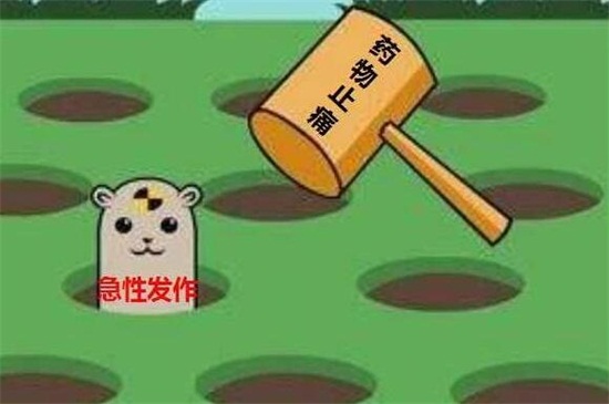 碰碰香的禁忌和功效，過(guò)敏人群別養(yǎng)且少去觸碰